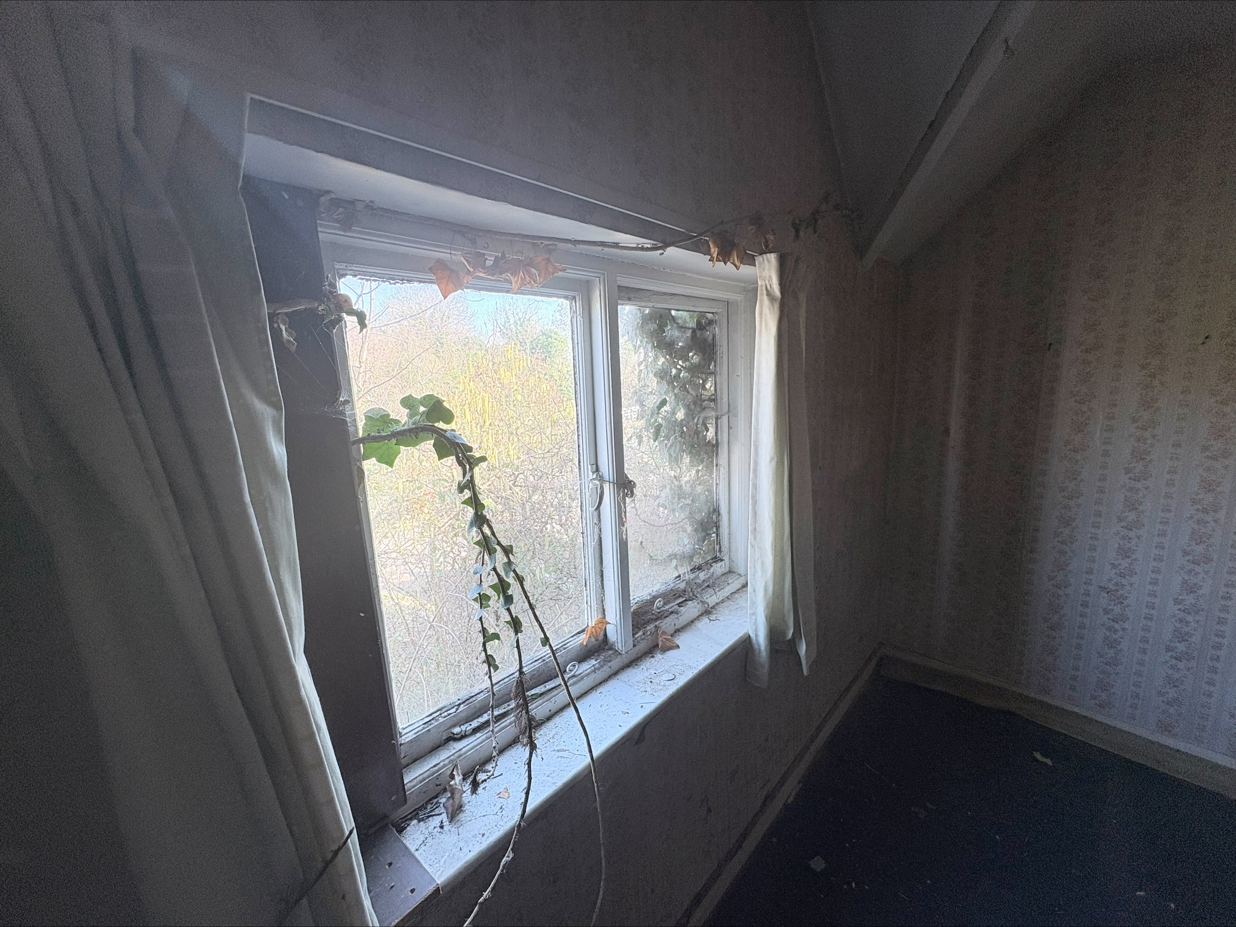 Property image #8